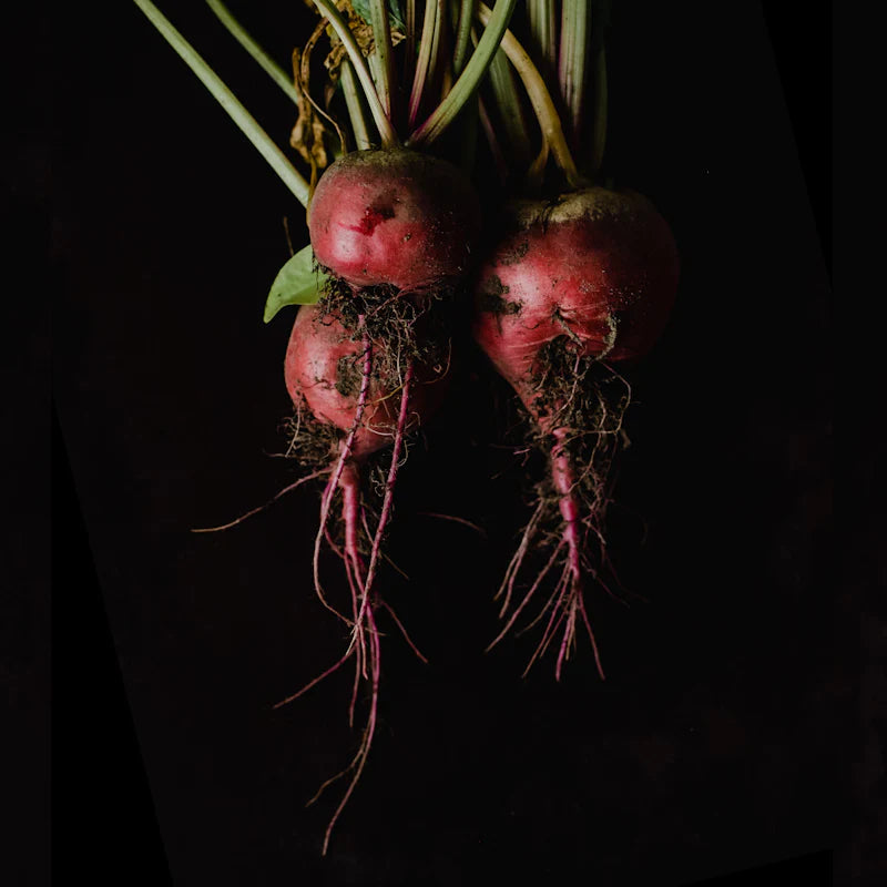 BetaPower® Betaine