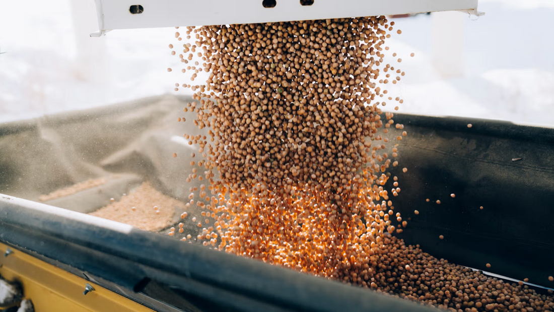 Raw ingredient granules pouring through a processing line