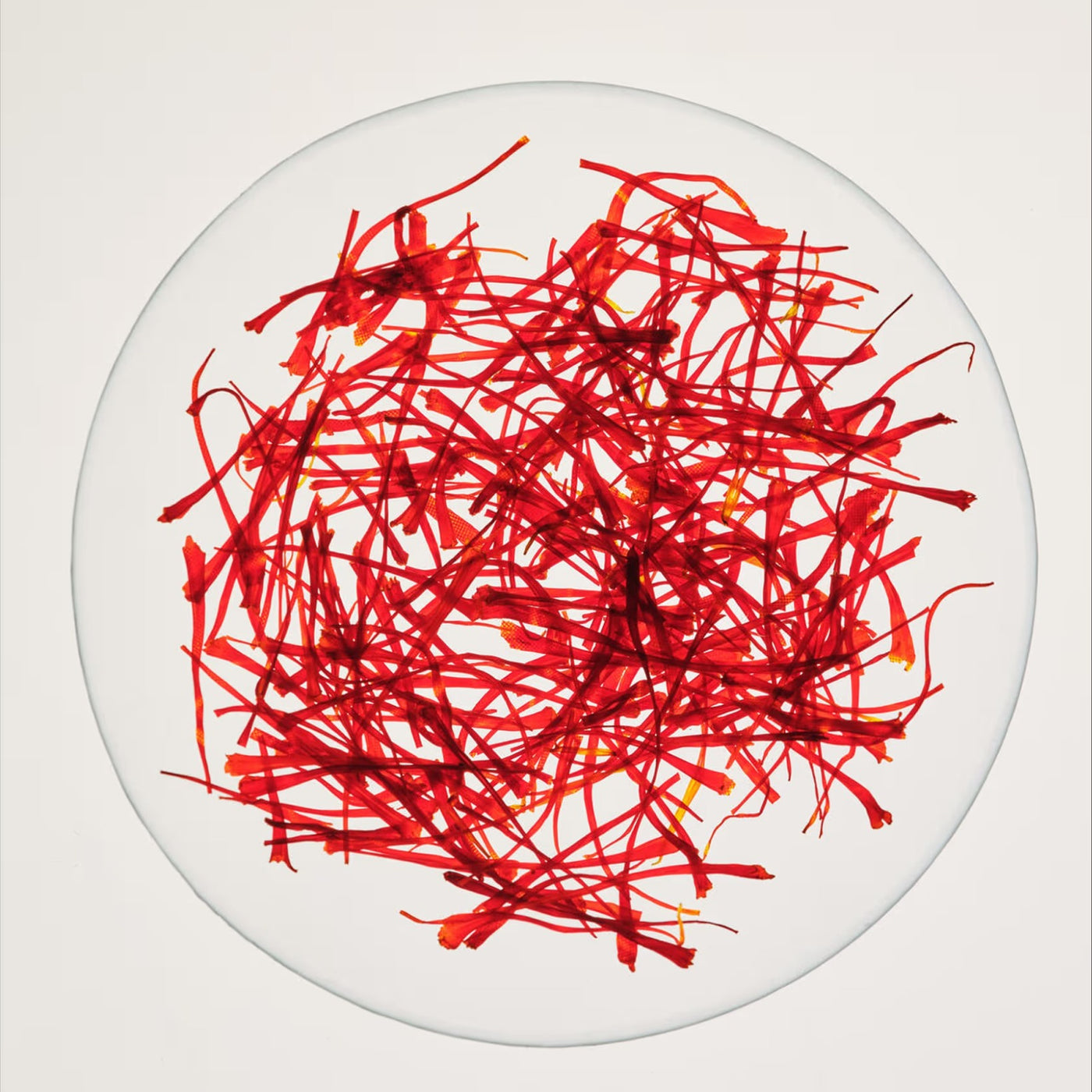 Saffron (Satiereal®)